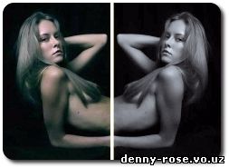 Denny Rose